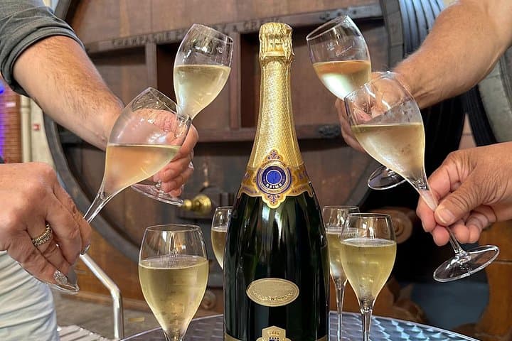 Champagne Day Trip from Reims including 9 Champagne Tastings