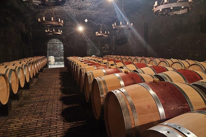 Tour vineyards Châteauneuf du Pape full day from Avignon