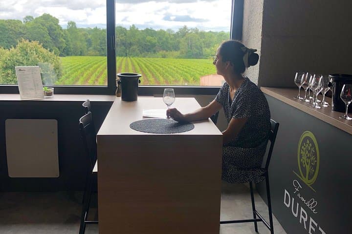 Visit of the Domaine, tasting and Wine courses near Nantes