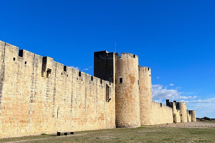 Small group half day Camargue and Aigues Mortes tour
