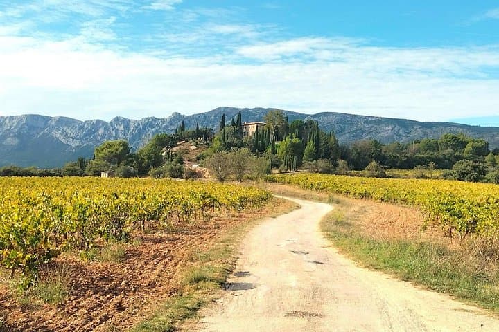 Wine Tour Like a Local in Scenic Provence with Picnic & Pétanque