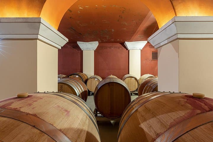 Wine Tasting in Nice Taste of Provence