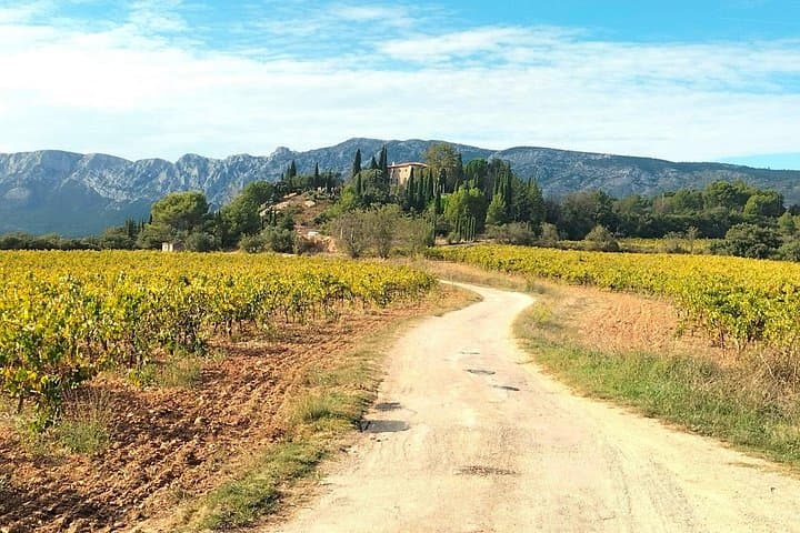 Wine Tour Like a Local in Scenic Provence with Picnic & Pétanque