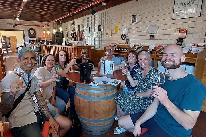 Beaujolais 100 % wine tour Private Tour with Tasting