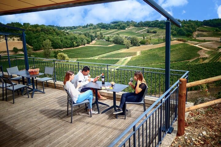Saint-Emilion Grand Cru Classé: Gourmet Visit in English