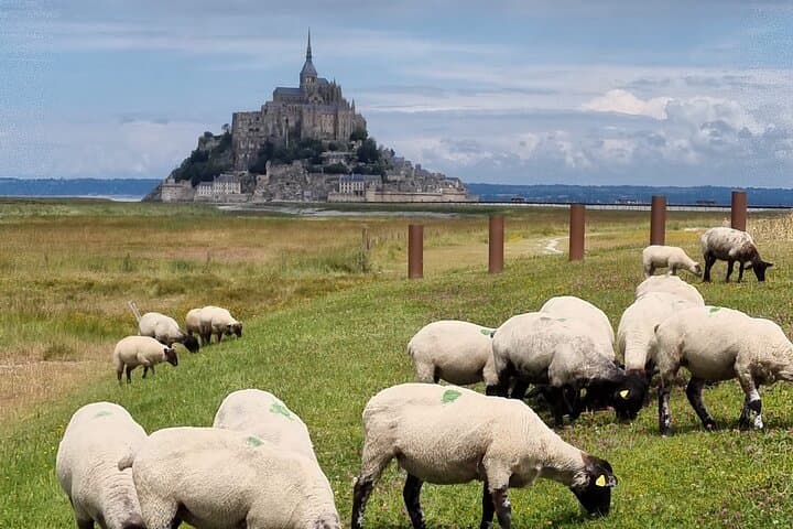 2-hour walking tour of Mont Saint-Michel