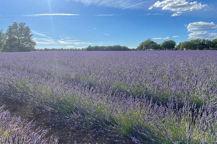 Provence pearl of southern France