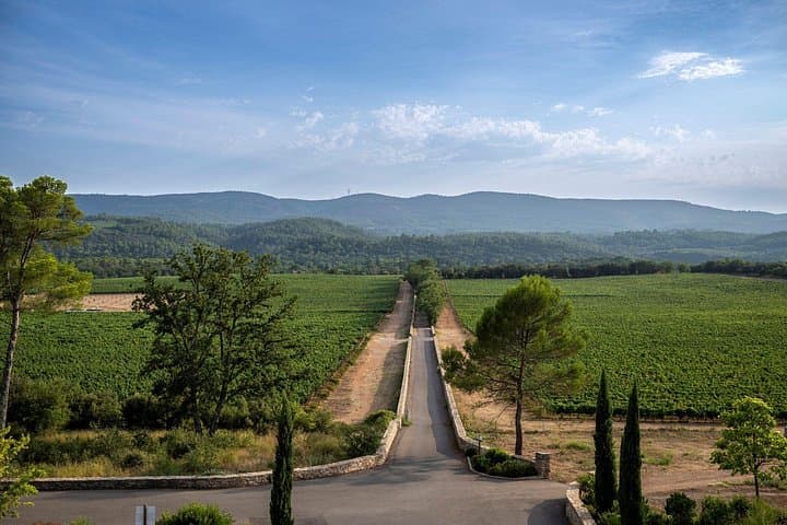 Provence Wine Tour - Small Group Tour from Nice