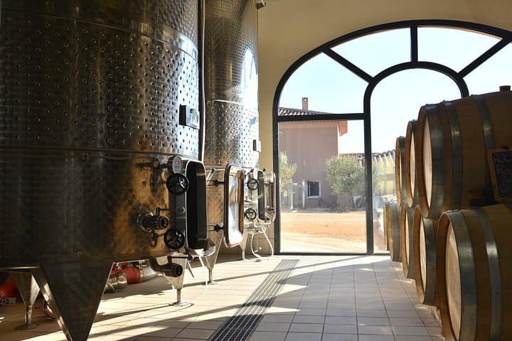 Wine Tour and Tasting in AOC Palette