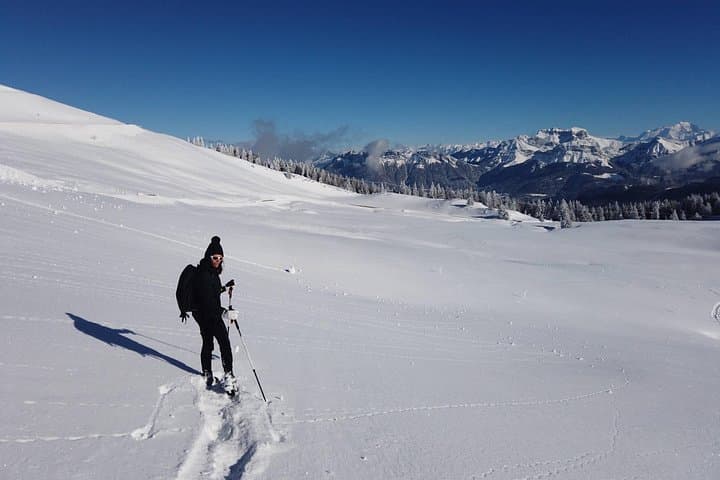 Snowshoeing trip near Annecy