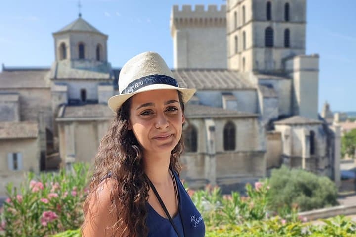 Avignon Walking Tour including Pope's Palace