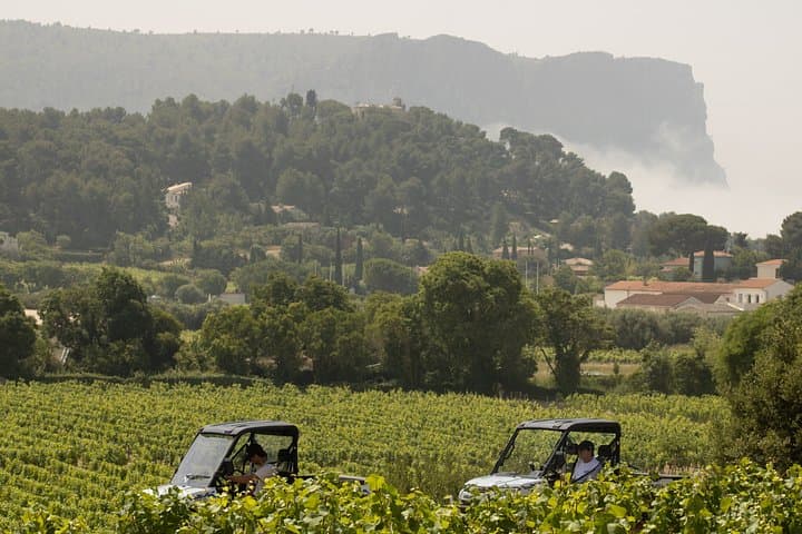 Cassis Domaine forest des janots and route des ridges en Buggy