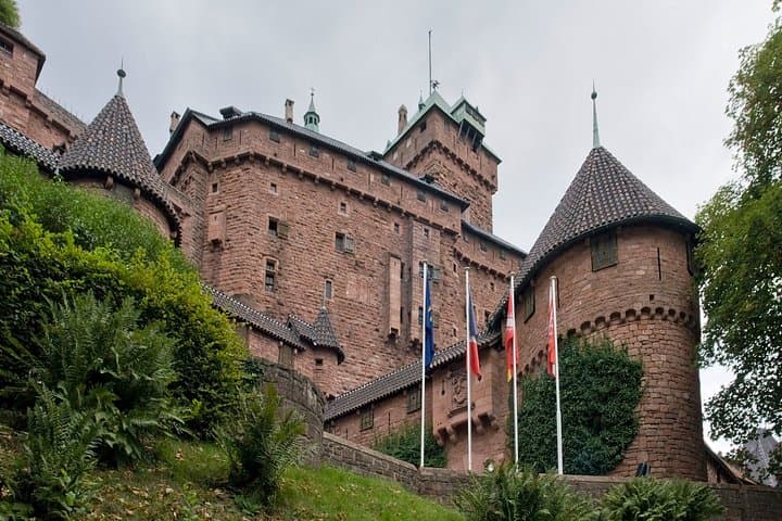 Alsace Castles & Winery: Full Day Private Shore Tour from Colmar