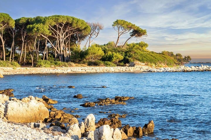 Cannes Islands Escape – Private Shore Tour by Boat