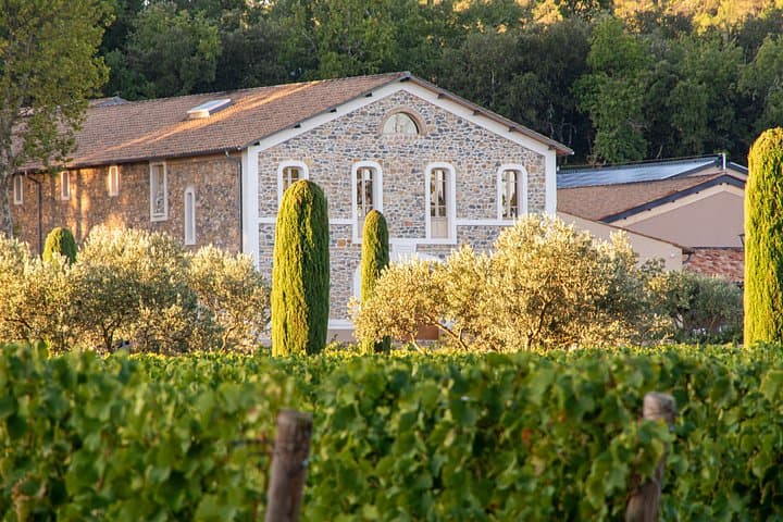 Visit of one of the most modern cellars in Provence