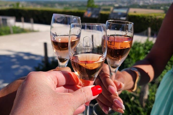 Veuve Clicquot "La Grande Dame" Cellar Tour & Tastings from Paris