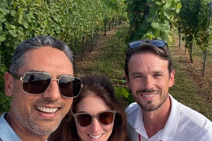 Alsace and Germany Full Day Private Wine Tour from Strasbourg