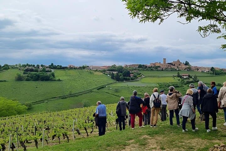 Beaujolais Wine Tour Golden Stones
