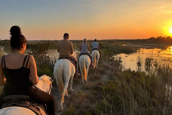 Camargue Horseback Riding Adventure in the Natural Reserve