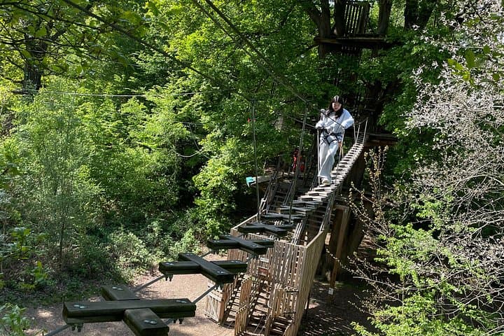 Tree-top adventure at Saint-Germain-en-Laye