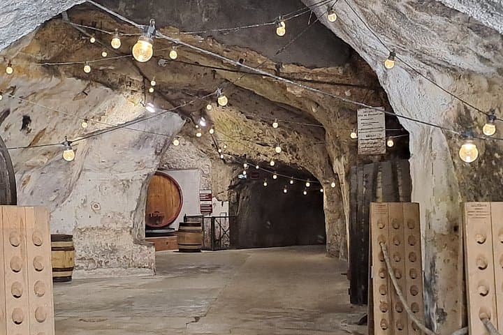 Saumur Unique Wine Experience Full Day