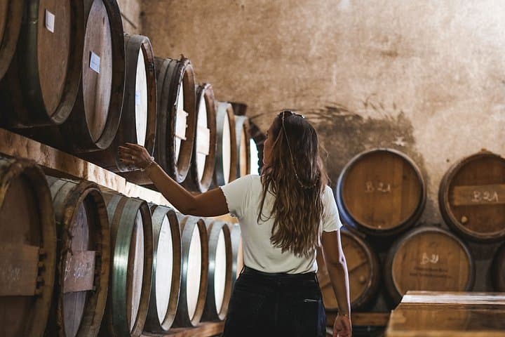 Visit of the cellar