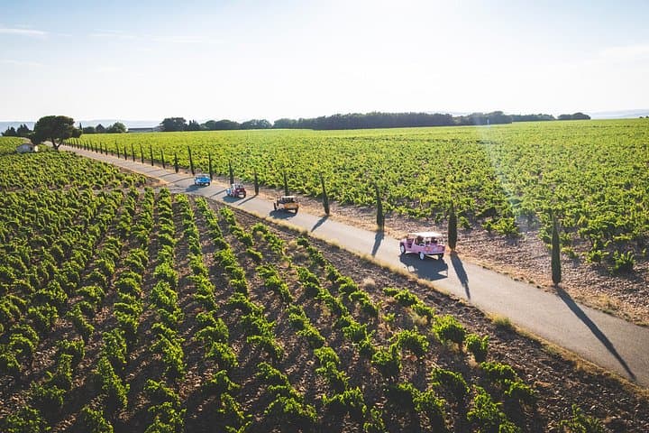 Chateauneuf du Pape Private Tour in the Méhari with Driver-Guide