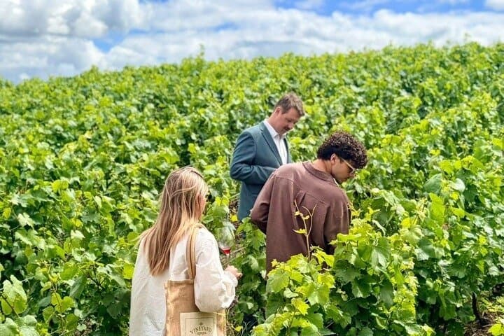 Vineyard Day