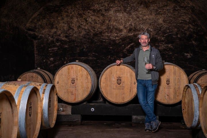 Visit and tasting of 3 wines in Teyras de Grandval