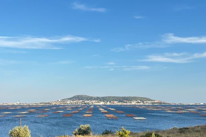 tour to Sete, an oyster farm & Wine Tasting